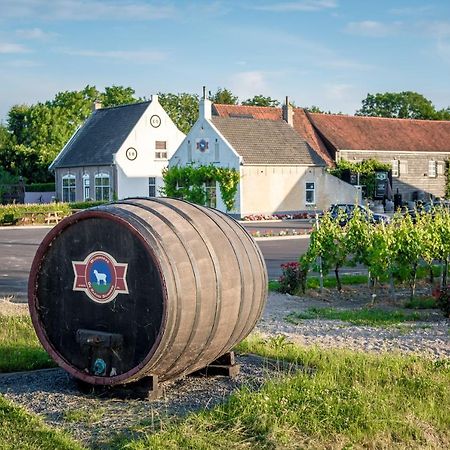 Wine-Barrel Rivaner Dreischor Exterior photo