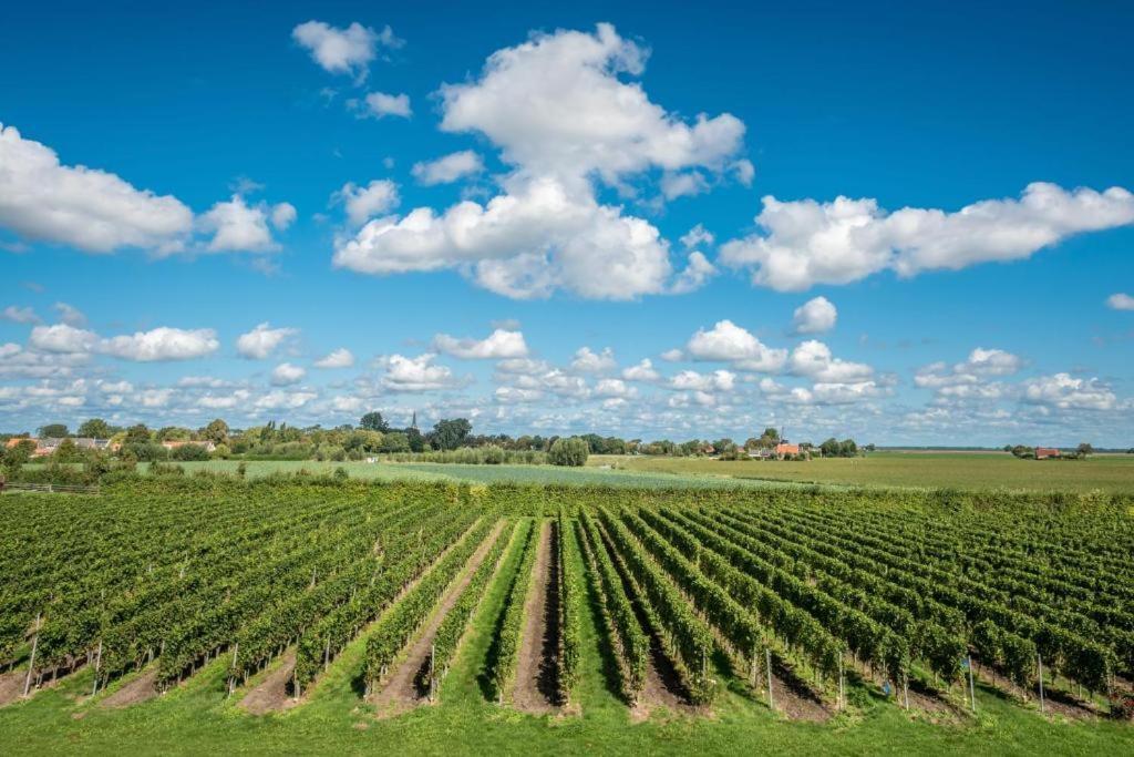 Wine-Barrel Rivaner Dreischor Exterior photo
